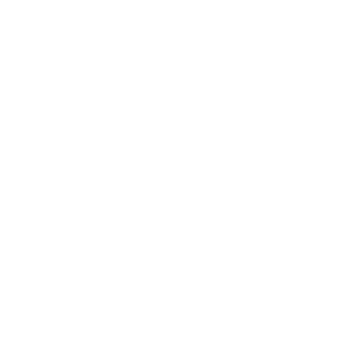 Automotive Components Manufacturer